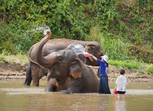 Happybirdtour-清迈必去景点
