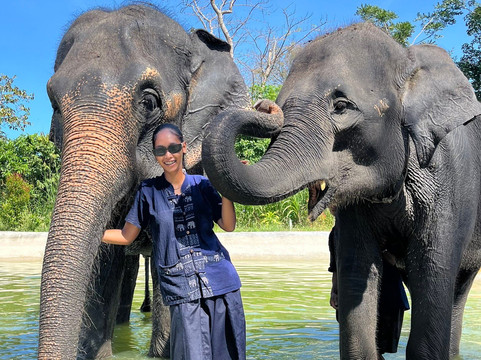 Trunk & Soul Elephant Home-班巴克洛必去景点