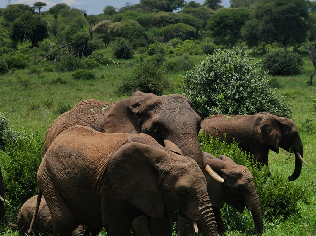 Altezza Travel-莫西必去景点