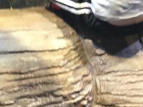 Jakarta Aquarium & Safari-雅加达必去景点