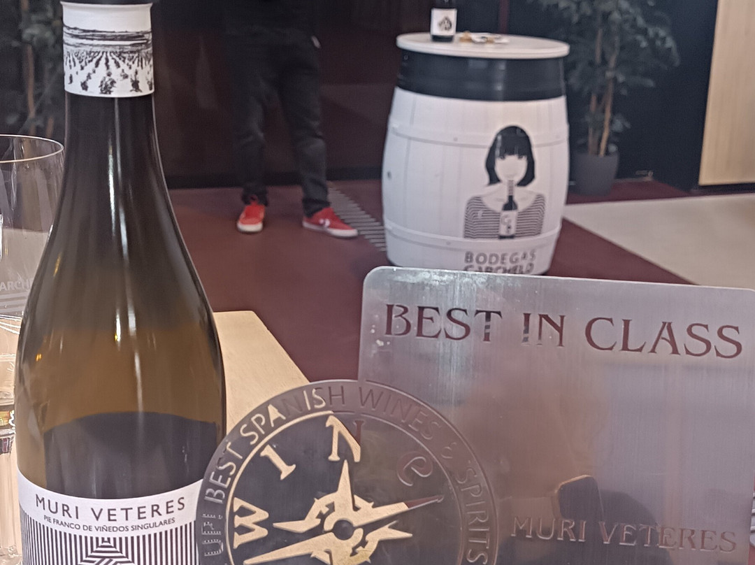 Bodegas Carchelo-Jumilla必去景点