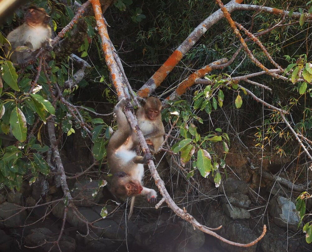 Phuket Seahorse Tours-卡伦必去景点