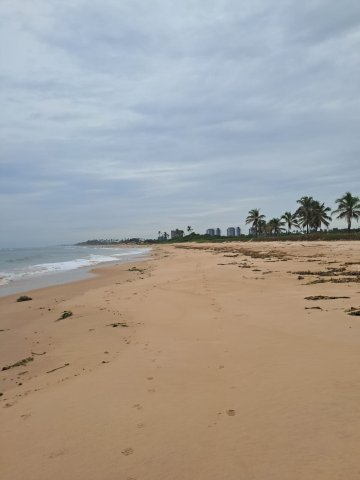 巴伊亚广场酒店-泳池