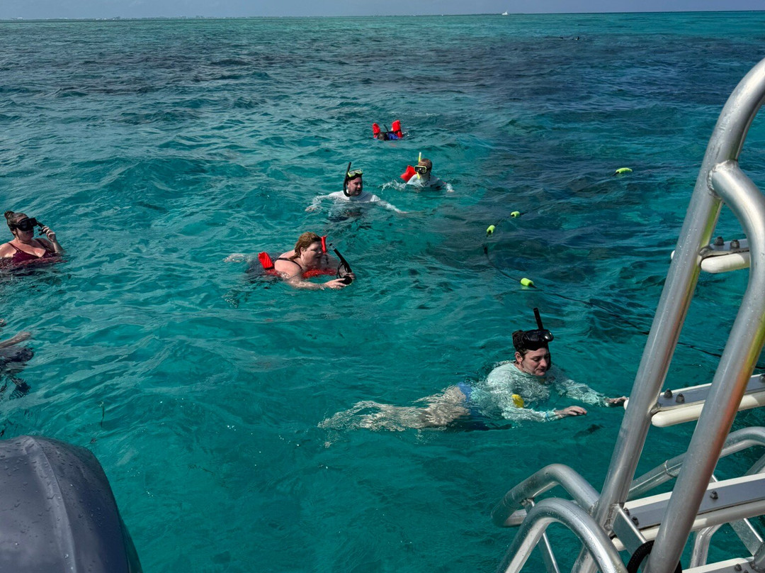 Capt. Marvin’s Watersports Ltd-乔治城必去景点