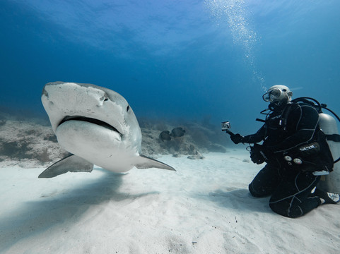 Epic Diving-West End必去景点
