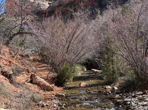 Kanarra Falls-Kanarraville必去景点