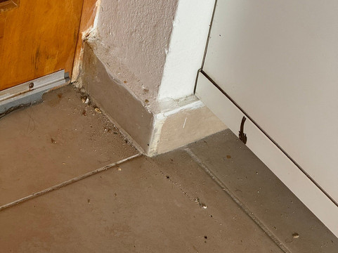 Hotel Palmera Bayahibe