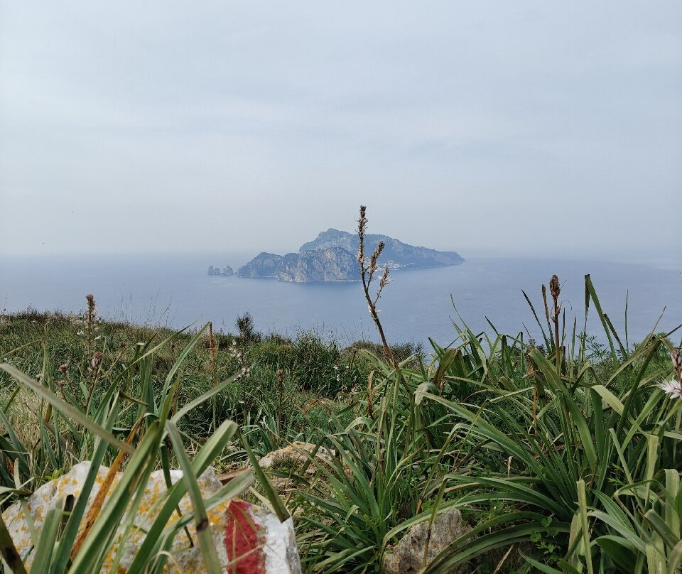 Area Marina Protetta Punta Campanella-马萨卢布伦塞必去景点