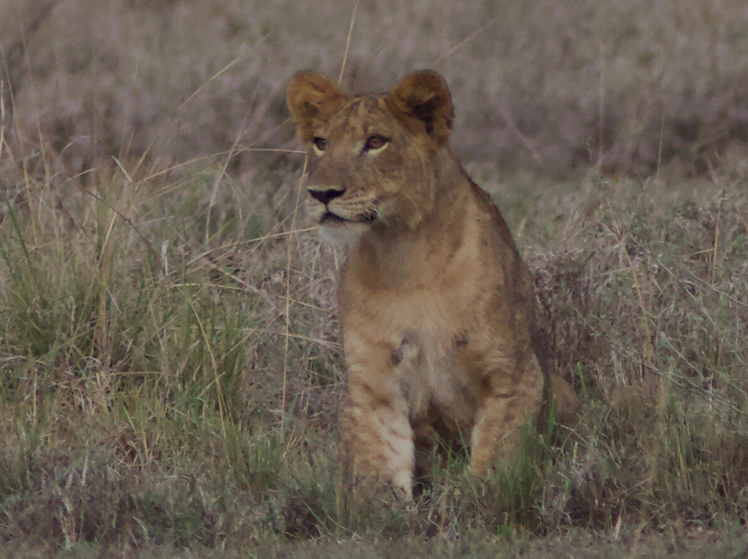 Exclusive Uganda Safaris-坎帕拉必去景点