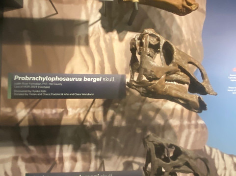 Museum of the Rockies-博兹曼必去景点