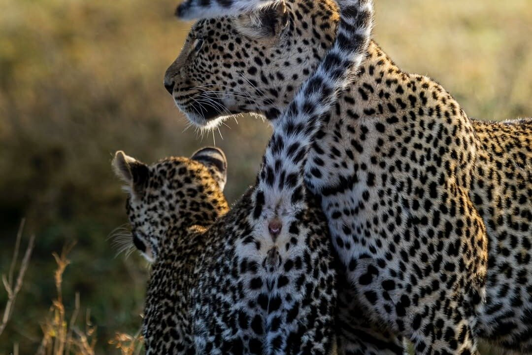 Ryravel-乞力马扎罗山国家公园必去景点