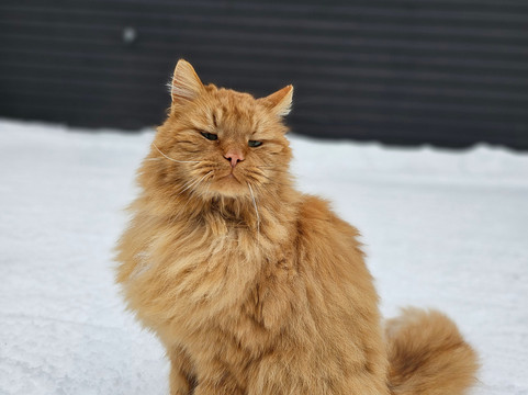 Polar Lights Tours-Sirkka必去景点