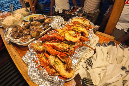 Nomadic Sails-Wasini Island必去景点