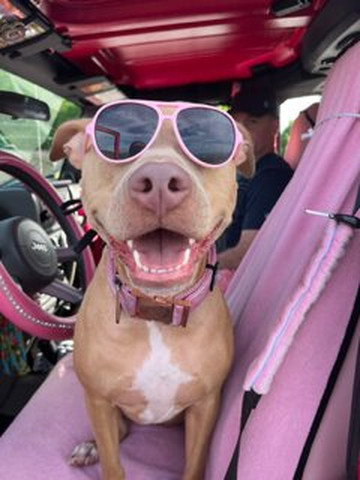 St.Thomas Adventures-圣 托马斯必去景点