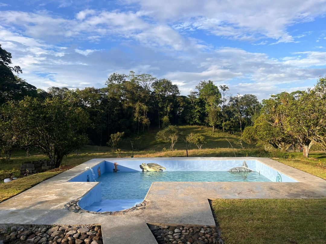 Rancho Los Mandarinos