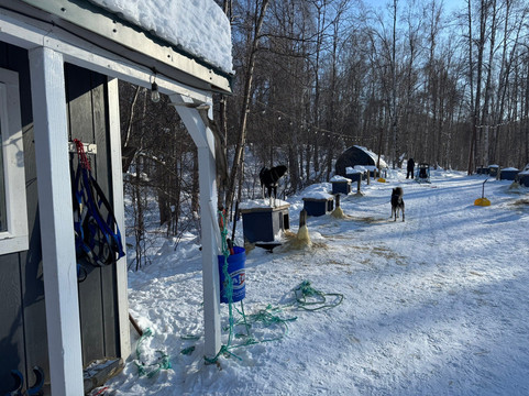 Snowhook Adventure Guides of Alaska-Willow必去景点