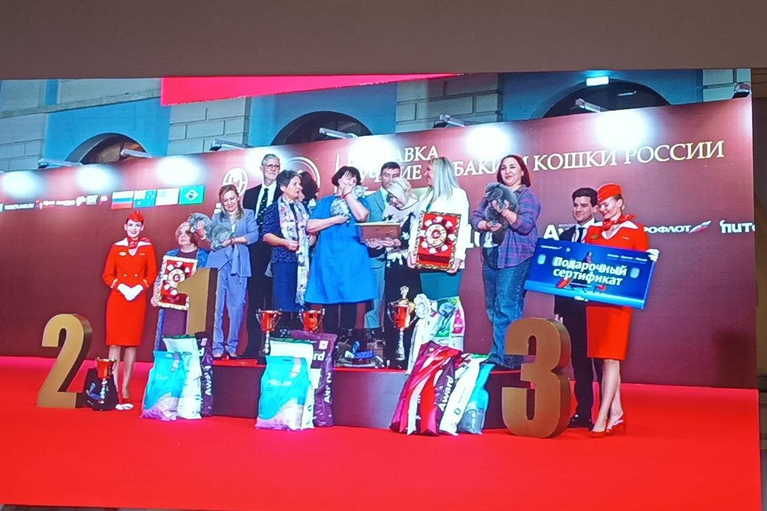 Gostiny Dvor and Trade Rows-Kimry必去景点