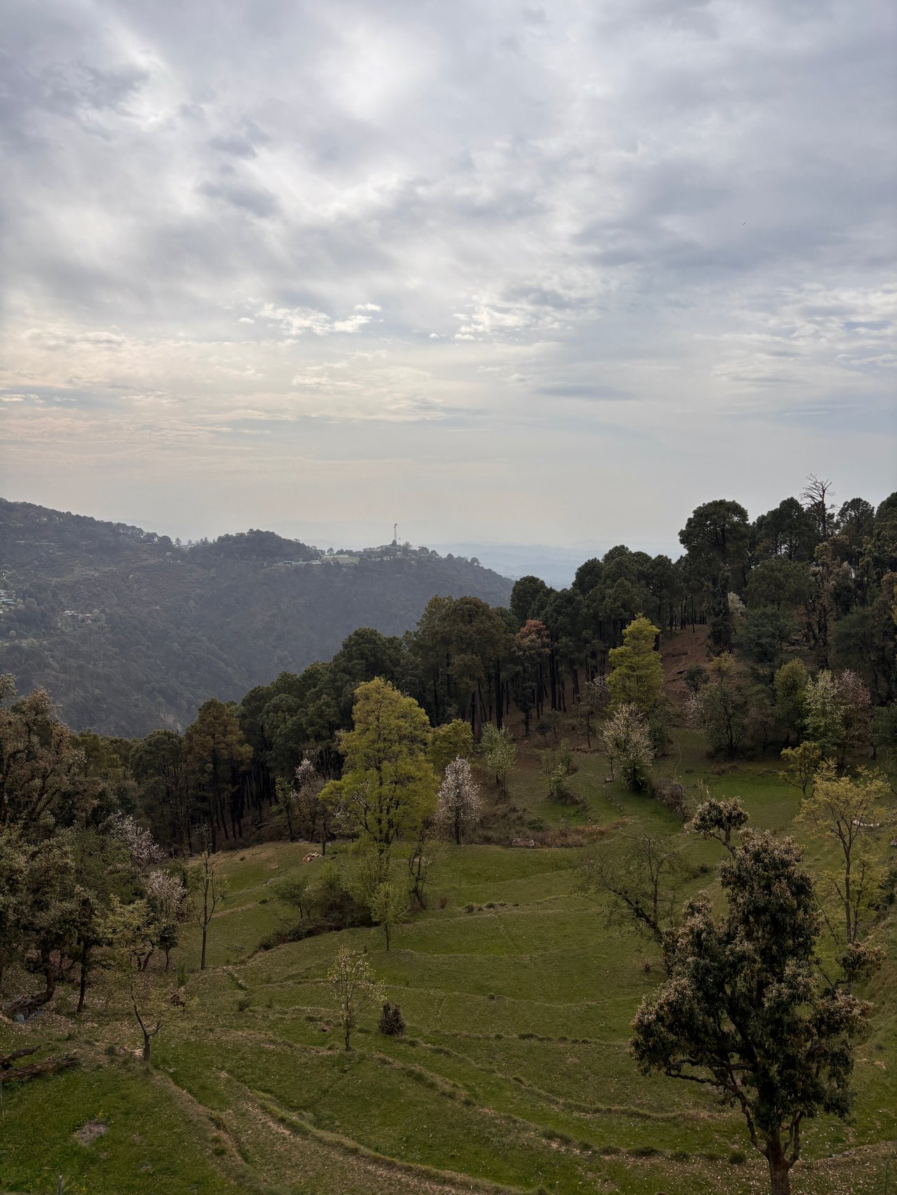 Fortune Park Moksha Mcleodganj-官方