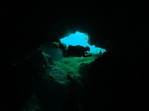 Dressel Divers Playa Del Carmen-普拉亚德尔卡曼必去景点