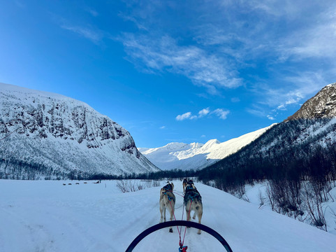 Kvaløya Husky-特罗姆瑟必去景点