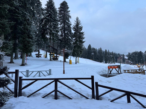 阿尔卑斯酒店主图