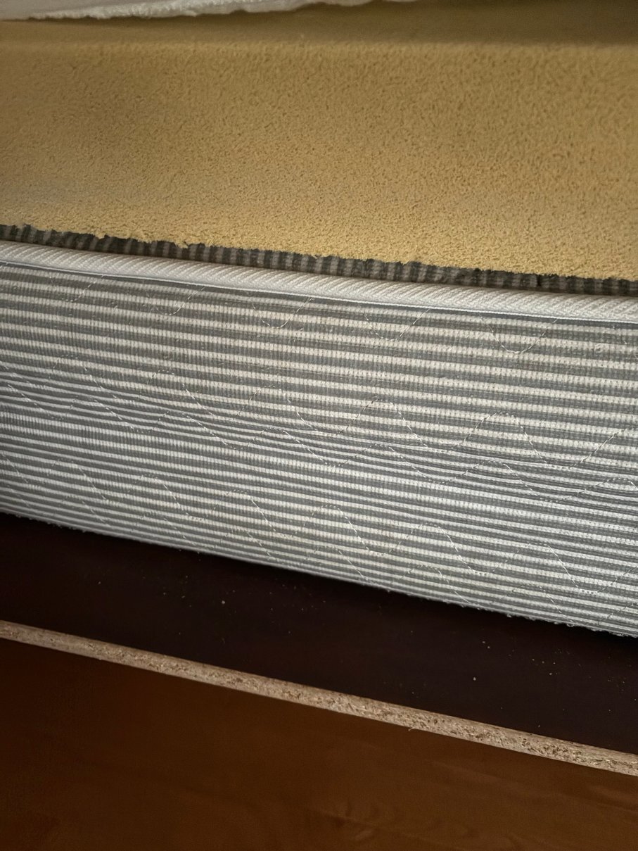 瑞莱斯丹尼丝酒店-官方