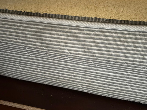 瑞莱斯丹尼丝酒店主图