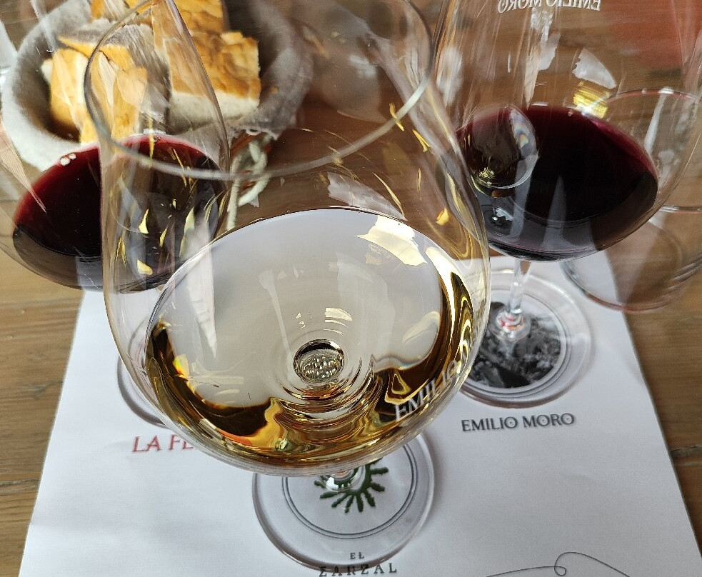 Emilio Moro Bodegas-Pesquera de Duero必去景点