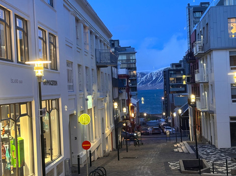 Dillon Whiskey Bar-雷克雅未克必去景点