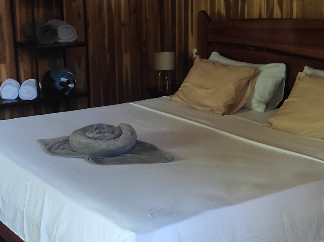 Onca Tours & Treehouses
