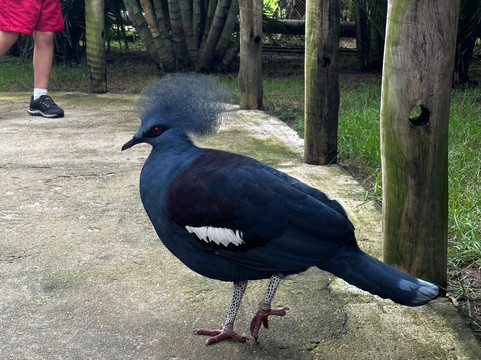 Parque Arvorar-Aquiraz必去景点