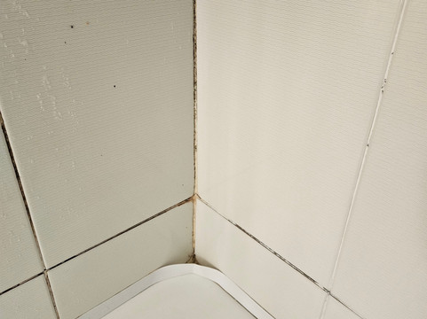 阿尔罗切大酒店主图