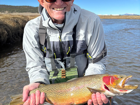 The Next Eddy-萨利达必去景点