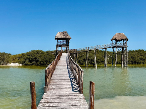 My Holbox Tours-Holbox必去景点