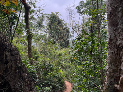 Cat Ba Ventures-卡巴必去景点