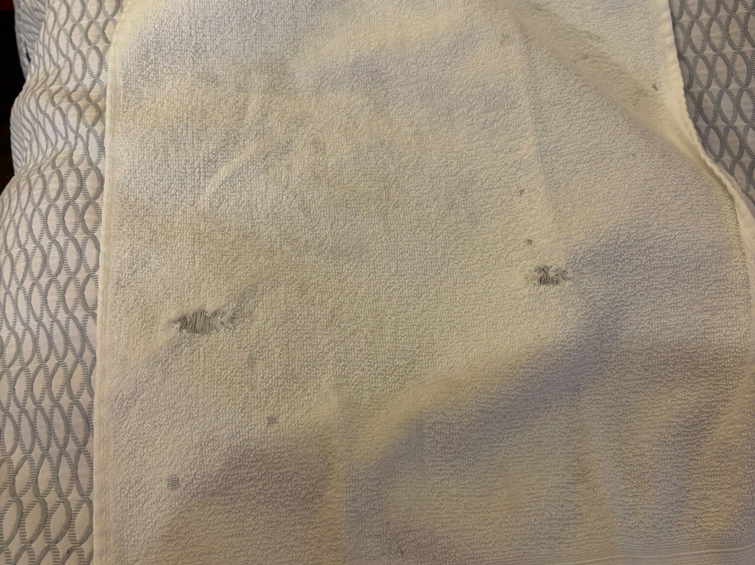 金斯波特三城机场拉昆塔温德姆套房酒店主图