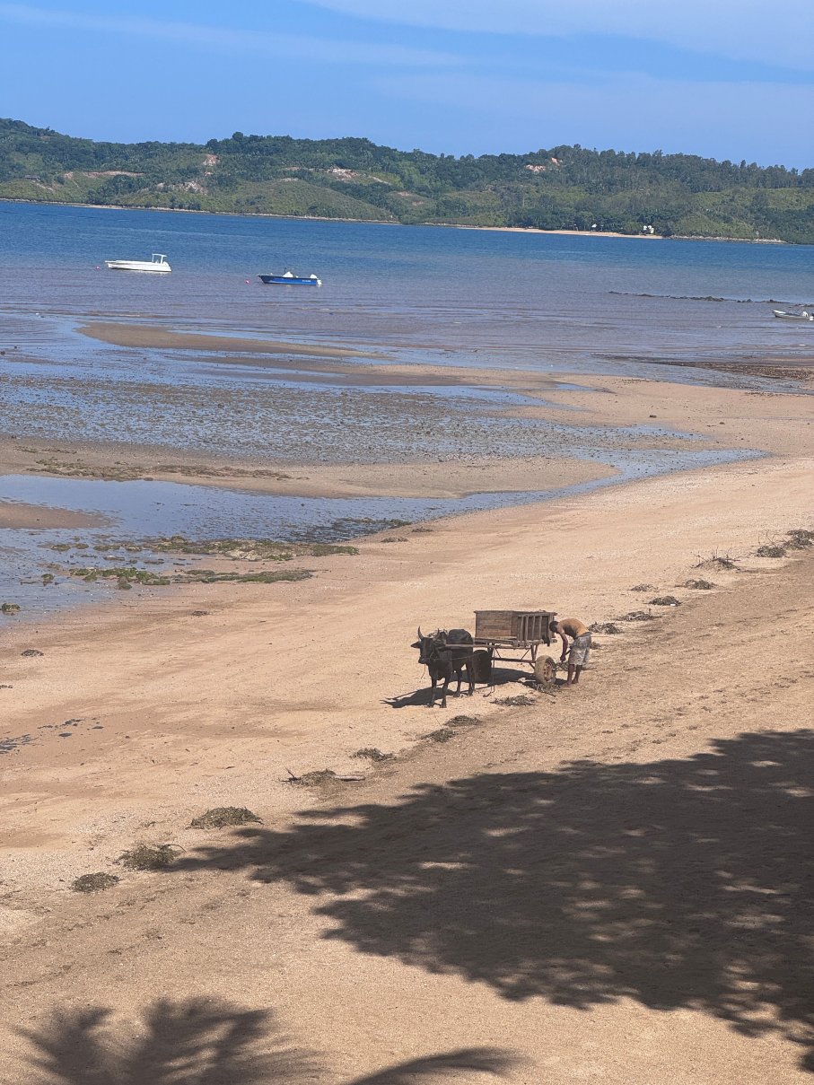 瓦尼拉酒店及水疗中心-泳池