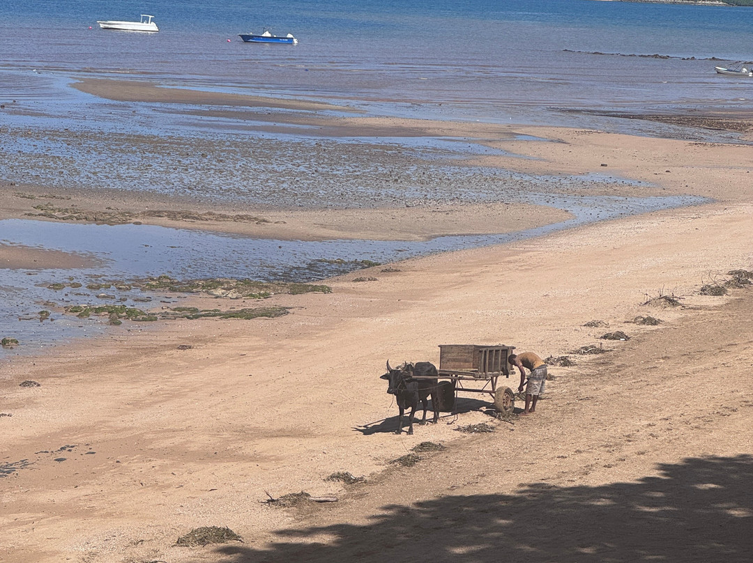 瓦尼拉酒店及水疗中心主图