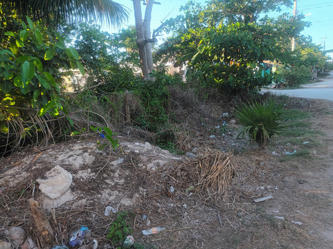 Playa El Cuyo-El Cuyo必去景点