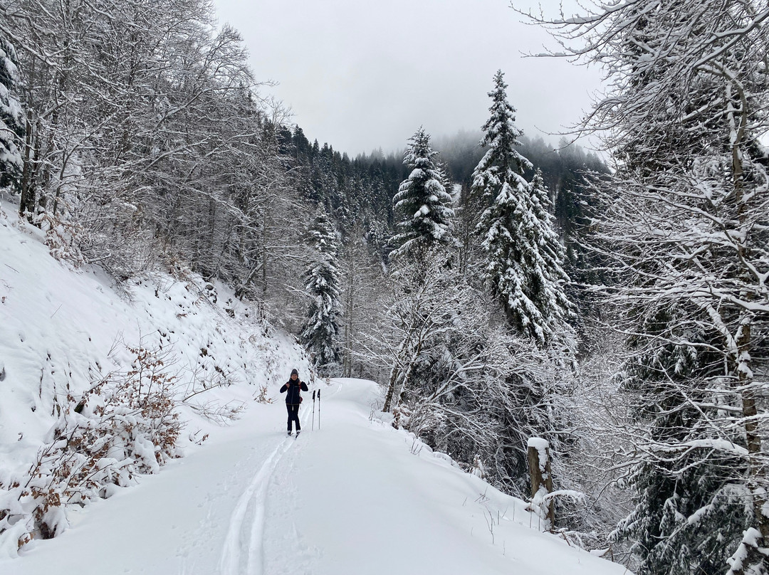 Altitude Biathlon-Autrans-Meaudre-en-Vercors必去景点