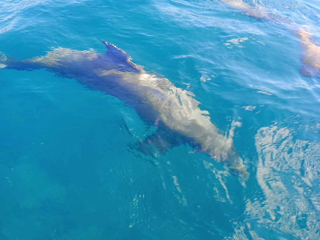 Crystal Boat Guadeloupe-Pointe-Noire必去景点