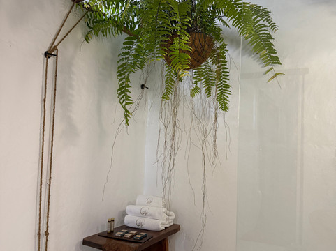 Casa las Flores主图