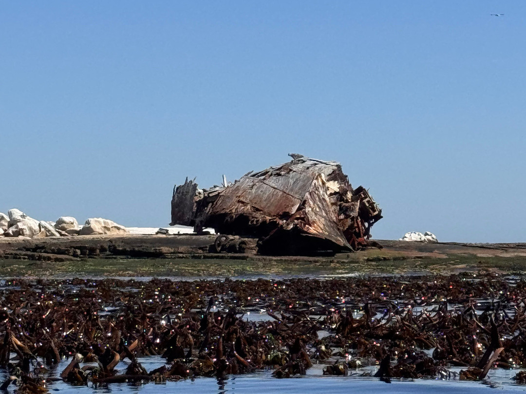 Cape Coast Expeditions-Yzerfontein必去景点