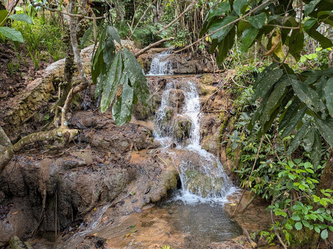 阿瓦娜度假村主图