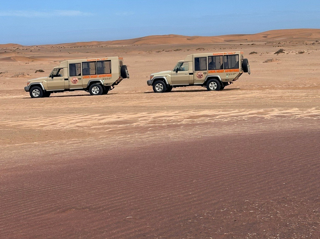 Living Desert Adventures Discover the Little 5-斯瓦科普蒙德必去景点