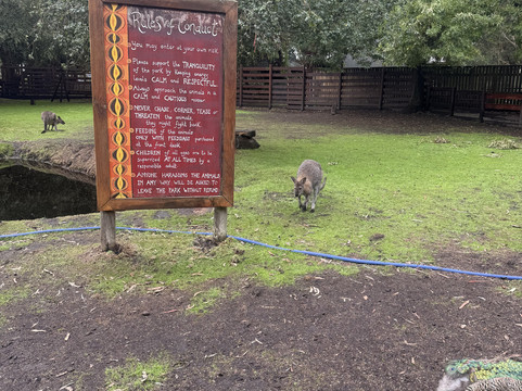 大洋路野生动物公园-Princetown必去景点