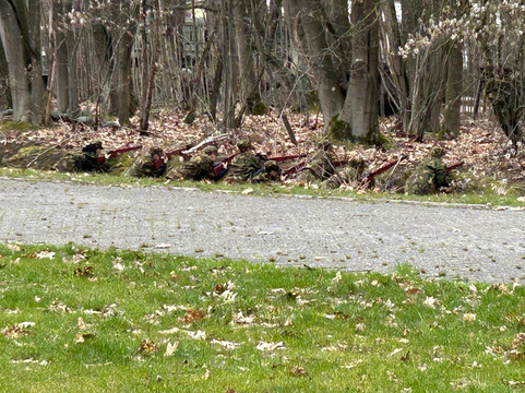 Museum Bevrijdende Vleugels-Best必去景点