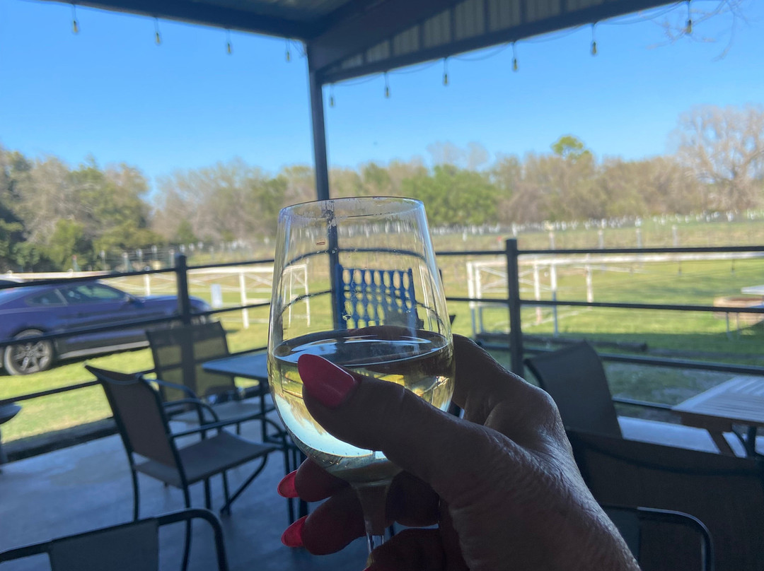 TF Vineyard & Winery-Boyd必去景点
