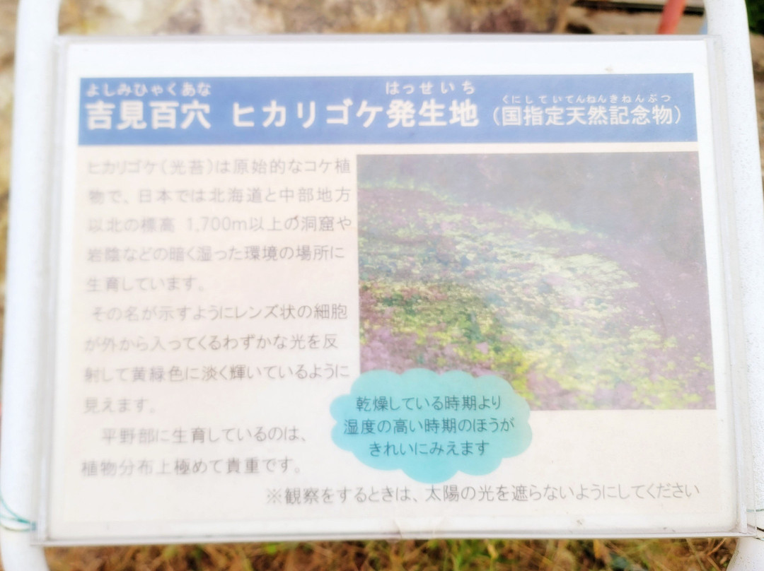 Yoshimi Hyakuana Tombs-吉见町必去景点