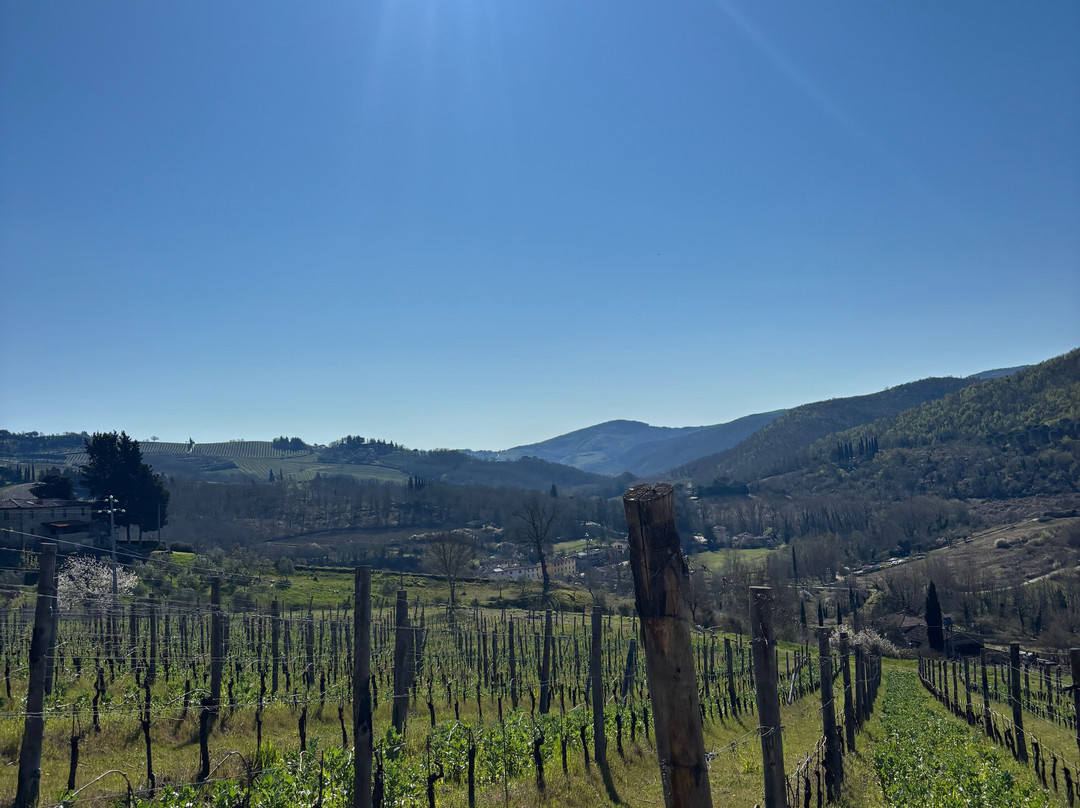 Il Molino di Grace Winery-Panzano in Chianti必去景点